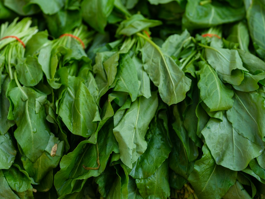 Lutein and Zeaxanthin: How These Eye Pigments Protect Your Vision